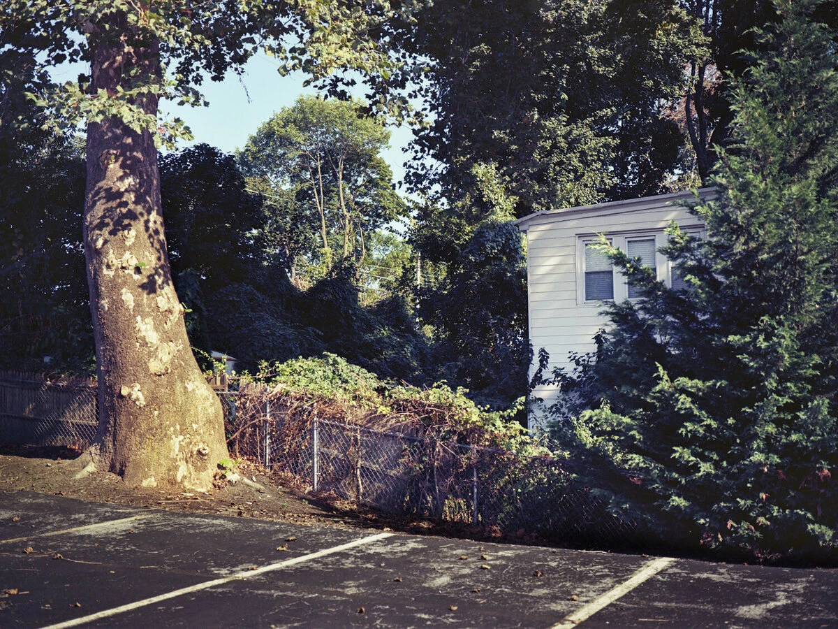 tree and house, haverford, pennsylvania